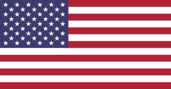 Washington DC Flag