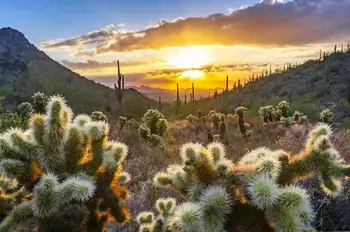 Arizona Financial Solutions