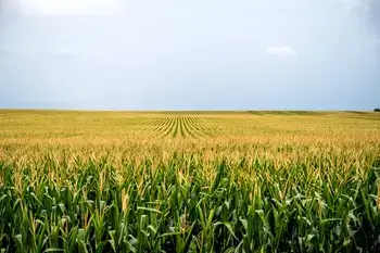 Iowa Financial Solutions